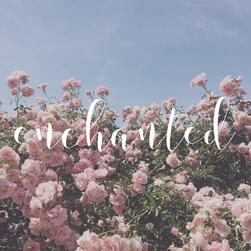 enchanted